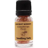 Ancient Wisdom Aromatherapie Geurzout - Focus - Himalayazout, Pepermunt, Rozemarijn, Citroengras & Grapefruit - Reuk Zout