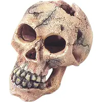 Europet Dekor Totenkopf S 11cm