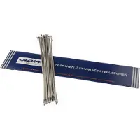 Alpina spaken 14g (2,00mm) 236mm rvs (p36)
