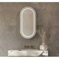 Schaere - Ovale Aluminium Badkamer Spiegelkast - Directe en Indirecte Verlichting - Spiegelverwarming - Sensor - Stopcontact - Usb - 45X90 cm