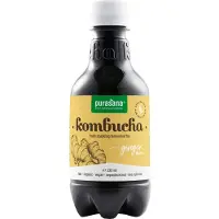 Purasana Kombucha Drank Gember Bio 330 Ml