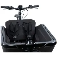 Cube Cargo Safety Riem
