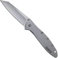 Kershaw Random Leek Framelock A/O