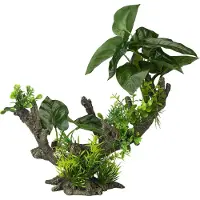 Ebi Aqua Della Flora Scape 2 L (Andere objecten), Aquarium decoratie