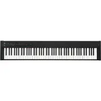 Korg D1 Zwart