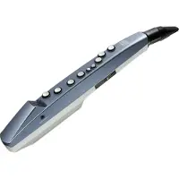 Roland AE-01 Aerophone Mini Digitaal Blaasinstrument