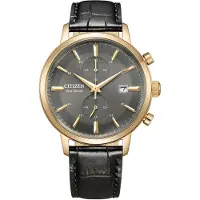 Citizen Heren Zwarte Horloge CA7067-11H