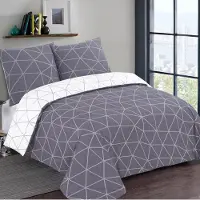 Vision Home VISION Hugo - Tweezijdig omkeerbaar Dekbedovertrekset - 100% katoen: zacht en soepel - Lits-jumeaux - Dekbedovertrek 240 x 220 cm met 2 bijhorende slopen - Grijs / Wit - Oekotex gecertificeerd