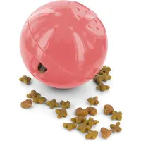 Petsafe SlimCat
