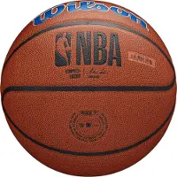 Wilson NBA DETROIT PISTONS Composite Indoor / Outdoor Basketbal (7) | Default