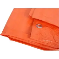 Merkloos Oranje afdekzeil / dekkleed 2 x 3 m - Afdekzeilen