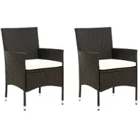 vidaXL Tuinstoelen 2 st met kussens poly rattan zwart