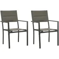 vidaXL Tuinstoelen, 2 stuks. Textilene en staal, grijs en antraciet