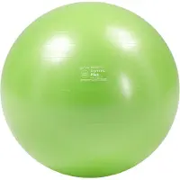 Gymnic Plus 55cm - Groen