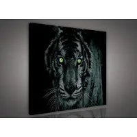 Canvas Schilderij - Tijger - Leeuw - Dieren - Kat - Wild - Roofdier - Donker - 90x80cm LxB - 3 Luiks - 3 Delen