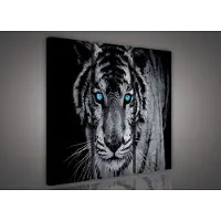 Canvas Schilderij - Tijger - Leeuw - Dieren - Kat - Wild - Roofdier - Grijs - 90x80cm LxB - 3 Luiks - 3 Delen