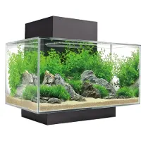 Fluval Edge Led 2.0 23l Aquariumset