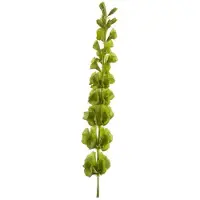 Emerald Groene Molucella kunstplant takken 80 cm - Kunstbloemen