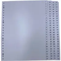 DULA Tabbladen plastic 1 tot 100 - Genummerd - A4 - Grijs - 23 gaten - PP