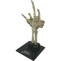 Factory Entertainment Universal Monsters mini réplique gefossiliseerd wezen hand 18 cm