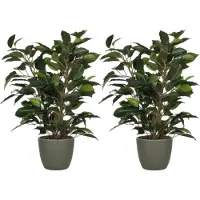Mica Decorations 2x stuks groene ficus kunstplant 40 cm met plantenpot dennengroen D13.5 en H12.5 cm - Kunstplanten