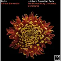 OUTHERE THE BRANDENBURG CONCERTOS - OUVERTURES