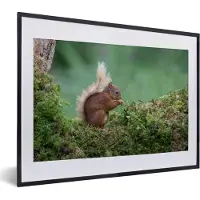 PosterMonkey Fotolijst incl. Poster - Eekhoorn - Bos - Mos - 40x30 cm - Posterlijst