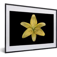 PosterMonkey Fotolijst incl. Poster - Een gele leliebloem over zwarte achtergrond - 40x30 cm - Posterlijst
