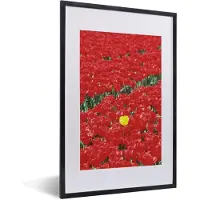 PosterMonkey Fotolijst incl. Poster - Een veld met rode tulpen in Nederland - 40x60 cm - Posterlijst