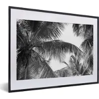 PosterMonkey Fotolijst incl. Poster - Palmbladeren - Vintage - Natuur - 40x30 cm - Posterlijst