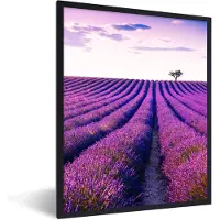 PosterMonkey - Poster - Fotolijst - Lavendel - Boom - Lucht - Paars - Bloemen - Posters - Poster kader - Frame - 30x40 cm - Poster frame - Foto in lijst - Poster lavendel