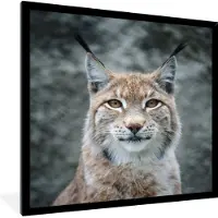 PosterMonkey Fotolijst incl. Poster - Portret van een jonge lynx - 40x40 cm - Posterlijst