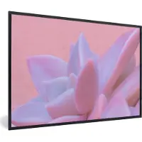 PosterMonkey Fotolijst incl. Poster - Vetplant - Zomer - Roze - Planten - 120x80 cm - Posterlijst