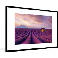 PosterMonkey Poster - Fotolijst - Lavendel - Luchtballon - Wolken - Bloemen - Zonsondergang - Frame - Posterlijst - 90x60 cm - Poster lavendel - Kamer decoratie - Poster met kader - Foto in lijst