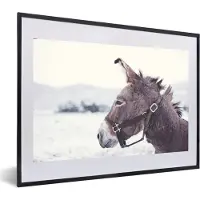 PosterMonkey Fotolijst incl. Poster - Ezel in de sneeuw - 60x40 cm - Posterlijst