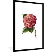 PosterMonkey Fotolijst incl. Poster - Bloemen - Roze - Roos - 80x120 cm - Posterlijst