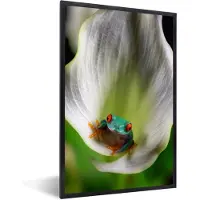 PosterMonkey Fotolijst incl. Poster - Close-up van een kikker in een bloem - 40x60 cm - Posterlijst
