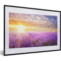 PosterMonkey Fotolijst incl. Poster - Lavendel - Zon - Lucht - Natuur - 60x40 cm - Posterlijst