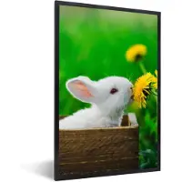PosterMonkey Fotolijst incl. Poster - Konijn - Paardenbloem - Gras - 20x30 cm - Posterlijst
