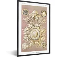 PosterMonkey Fotolijst incl. Poster - Vintage - Ernst Haeckel - Kwal - Kunst - 20x30 cm - Posterlijst