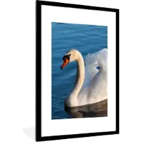 PosterMonkey Poster - Fotolijst - Zwaan - Vogel - Water - Landschap - 80x120 cm - Kamerdecoratie - Poster met lijst - Poster vogels - Foto lijst - Poster dieren - Posters