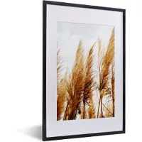 PosterMonkey Fotolijst incl. Poster - Pampasgras - Zon - Gras - 40x60 cm - Posterlijst