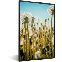 PosterMonkey Fotolijst incl. Poster - Bloemen - Paardenbloem - Grasveld - 40x60 cm - Posterlijst