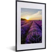 PosterMonkey - Poster - Fotolijst - Lavendel - Zon - Landschap - Bloemen - Kader - 40x60 cm - Posterlijst - Poster met frame - Poster lavendel - Foto in lijst - Poster natuur
