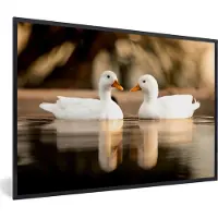 PosterMonkey Poster - Fotolijst - Eend - Wit - Dieren - Water - 90x60 cm - Poster eend - Foto lijst - Wanddecoratie - Poster vogels - Poster met frame