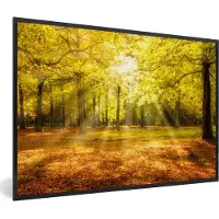 PosterMonkey Fotolijst incl. Poster - Boom - Natuur - Zon - Landschap - Bos - 120x80 cm - Posterlijst