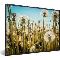 PosterMonkey Fotolijst incl. Poster - Bloemen - Paardenbloem - Grasveld - 40x30 cm - Posterlijst