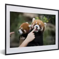 PosterMonkey Fotolijst incl. Poster - Panda - Hand - Rood - 40x30 cm - Posterlijst
