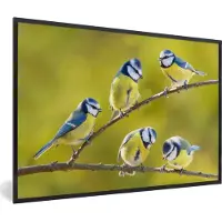 PosterMonkey Poster - Fotolijst - Vogel - Pimpelmees - Takken - Zon - 90x60 cm - Poster met frame - Kamer decoratie - Poster natuur - Poster vogels - Foto lijst