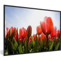 PosterMonkey Fotolijst incl. Poster - Bloemen - Tulpen - Zon - 90x60 cm - Posterlijst